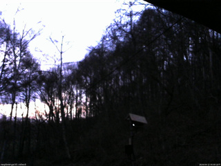 長野県菅平高原 ゆたか山荘 温度計 2026/04/12 05:00