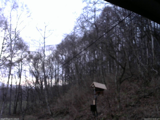 長野県菅平高原 ゆたか山荘 温度計 2026/04/12 05:15