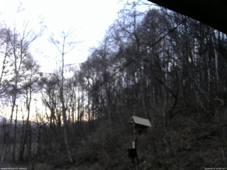 長野県菅平高原 ゆたか山荘 温度計 2026/04/12 05:30