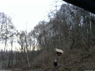 長野県菅平高原 ゆたか山荘 温度計 2026/04/12 05:45