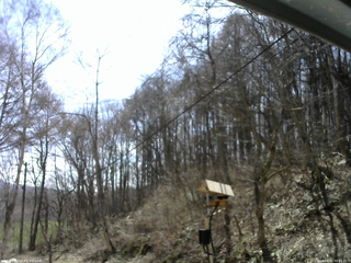 長野県菅平高原 ゆたか山荘 温度計 2026/04/12 09:45