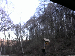 長野県菅平高原 ゆたか山荘 温度計 2026/04/12 17:15