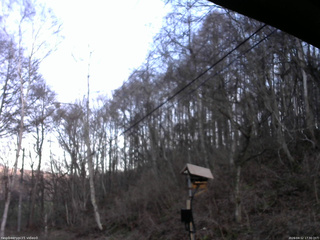 長野県菅平高原 ゆたか山荘 温度計 2026/04/12 17:30