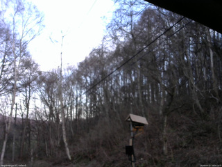 長野県菅平高原 ゆたか山荘 温度計 2026/04/12 18:00