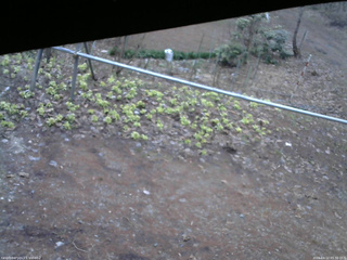 長野県菅平高原 ゆたか山荘 駐車場 2026/04/12 05:30