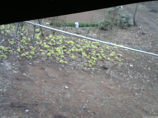 長野県菅平高原 ゆたか山荘 駐車場 2026/04/12 06:00