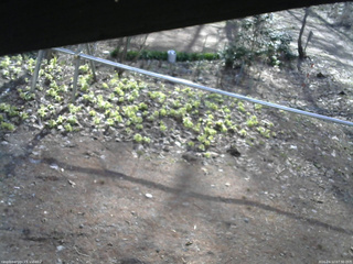 長野県菅平高原 ゆたか山荘 駐車場 2026/04/12 07:30