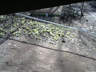 長野県菅平高原 ゆたか山荘 駐車場 2026/04/12 08:00