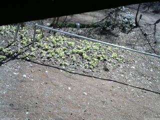 長野県菅平高原 ゆたか山荘 駐車場 2026/04/12 08:45