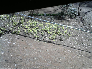 長野県菅平高原 ゆたか山荘 駐車場 2026/04/12 09:00