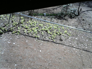 長野県菅平高原 ゆたか山荘 駐車場 2026/04/12 09:15