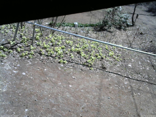 長野県菅平高原 ゆたか山荘 駐車場 2026/04/12 10:15