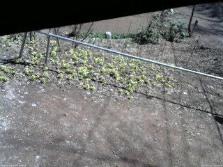 長野県菅平高原 ゆたか山荘 駐車場 2026/04/12 11:15