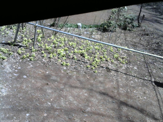 長野県菅平高原 ゆたか山荘 駐車場 2026/04/12 11:30