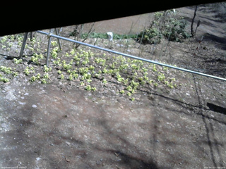 長野県菅平高原 ゆたか山荘 駐車場 2026/04/12 12:00