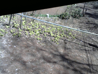 長野県菅平高原 ゆたか山荘 駐車場 2026/04/12 12:15