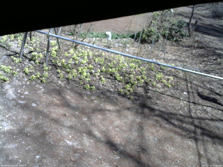 長野県菅平高原 ゆたか山荘 駐車場 2026/04/12 12:30