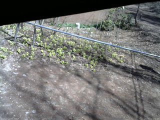 長野県菅平高原 ゆたか山荘 駐車場 2026/04/12 12:45