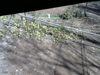 長野県菅平高原 ゆたか山荘 駐車場 2026/04/12 13:00