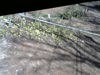 長野県菅平高原 ゆたか山荘 駐車場 2026/04/12 13:30