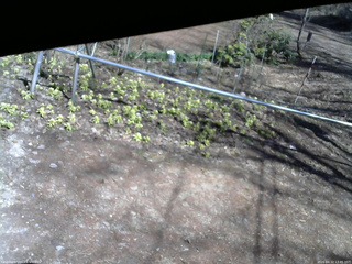 長野県菅平高原 ゆたか山荘 駐車場 2026/04/12 13:45