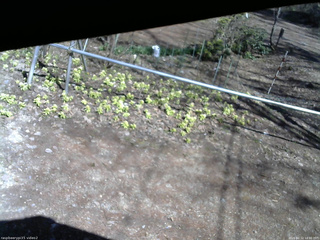 長野県菅平高原 ゆたか山荘 駐車場 2026/04/12 14:00