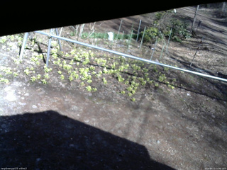 長野県菅平高原 ゆたか山荘 駐車場 2026/04/12 14:45