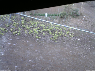 長野県菅平高原 ゆたか山荘 駐車場 2026/04/12 17:00