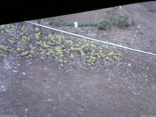 長野県菅平高原 ゆたか山荘 駐車場 2026/04/12 17:15