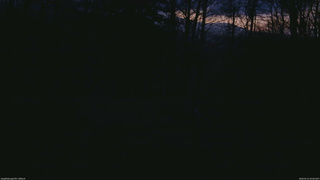 長野県菅平高原 ゆたか山荘 坂上 2026/04/12 05:00