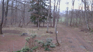 長野県菅平高原 ゆたか山荘 坂上 2026/04/12 05:15