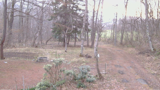 長野県菅平高原 ゆたか山荘 坂上 2026/04/12 05:30