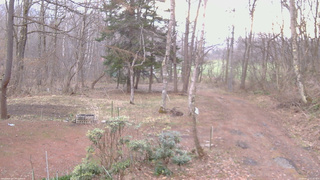長野県菅平高原 ゆたか山荘 坂上 2026/04/12 05:45