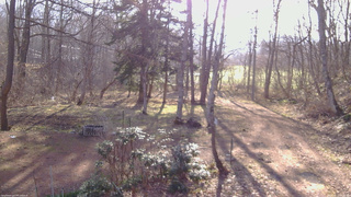 長野県菅平高原 ゆたか山荘 坂上 2026/04/12 06:45
