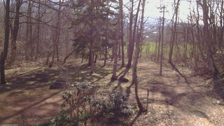 長野県菅平高原 ゆたか山荘 坂上 2026/04/12 07:45