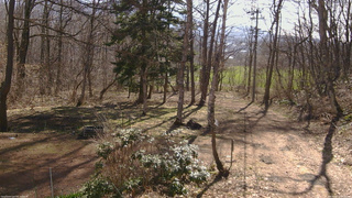 長野県菅平高原 ゆたか山荘 坂上 2026/04/12 08:15