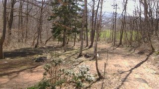 長野県菅平高原 ゆたか山荘 坂上 2026/04/12 08:45