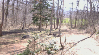 長野県菅平高原 ゆたか山荘 坂上 2026/04/12 09:00