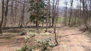 長野県菅平高原 ゆたか山荘 坂上 2026/04/12 09:45