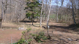 長野県菅平高原 ゆたか山荘 坂上 2026/04/12 13:15