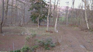 長野県菅平高原 ゆたか山荘 坂上 2026/04/12 18:00