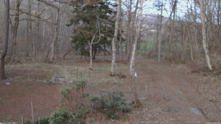 長野県菅平高原 ゆたか山荘 坂上 2026/04/12 18:30