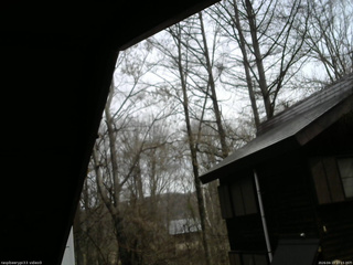 長野県菅平高原 ゆたか山荘 北側 2026/04/13 10:15