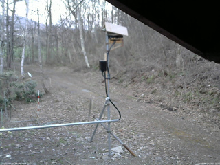 長野県菅平高原 ゆたか山荘 南側 2026/04/13 18:15