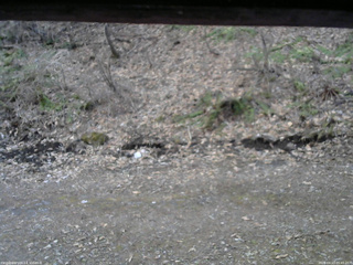 長野県菅平高原 ゆたか山荘 東側(坂下) 2026/04/13 05:45