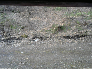 長野県菅平高原 ゆたか山荘 東側(坂下) 2026/04/13 06:00