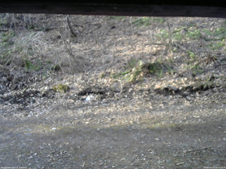 長野県菅平高原 ゆたか山荘 東側(坂下) 2026/04/13 06:15