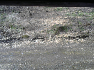 長野県菅平高原 ゆたか山荘 東側(坂下) 2026/04/13 06:30