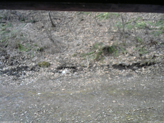 長野県菅平高原 ゆたか山荘 東側(坂下) 2026/04/13 06:45