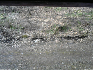 長野県菅平高原 ゆたか山荘 東側(坂下) 2026/04/13 07:00
